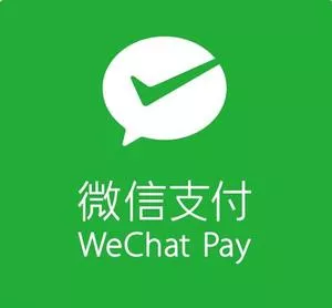 Payment Type 5