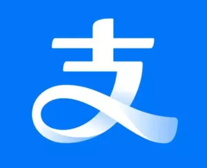 Payment Type 6